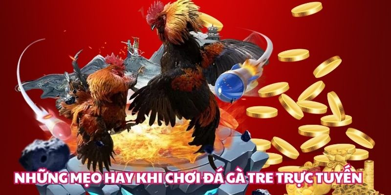 Những mẹo hay khi chơi đá gà tre trực tuyến